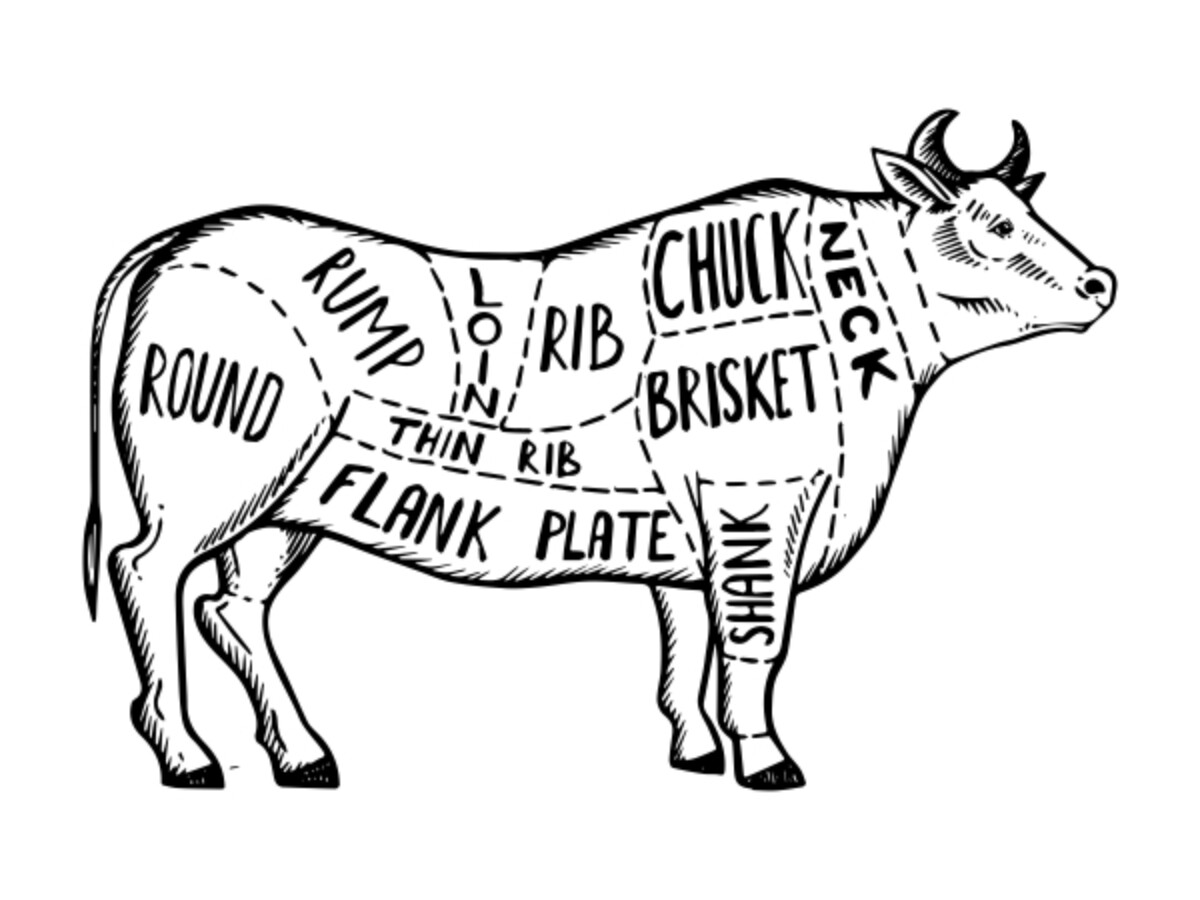 Side of Beef Diagram