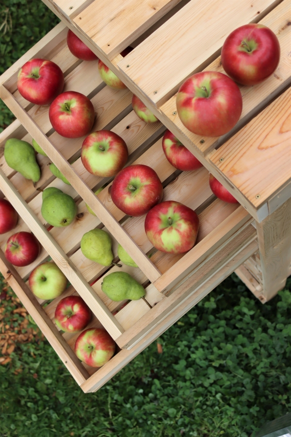Homemade Apple Storage Rack