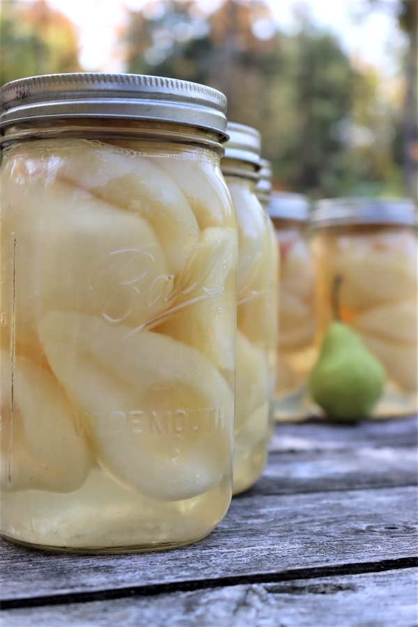 Canning Pears
