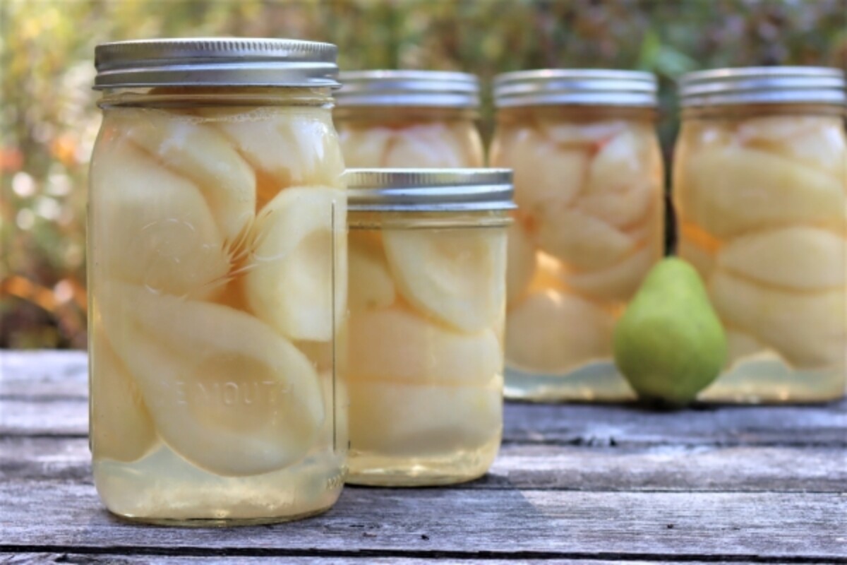 Canning Pears