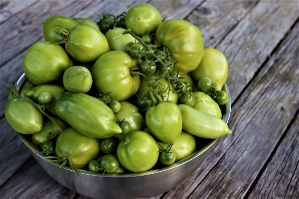 50+ Green Tomato Recipes