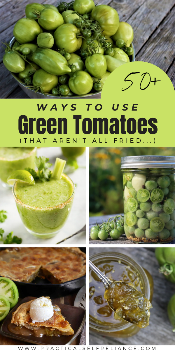 Green Tomato Recipes ~ Looking for ways to use green tomatoes? Here's every green tomato recipe you could possibly need, from ketchup to jam to cocktails, bread and chili. A few fried green tomato recipes too, just for good measure.