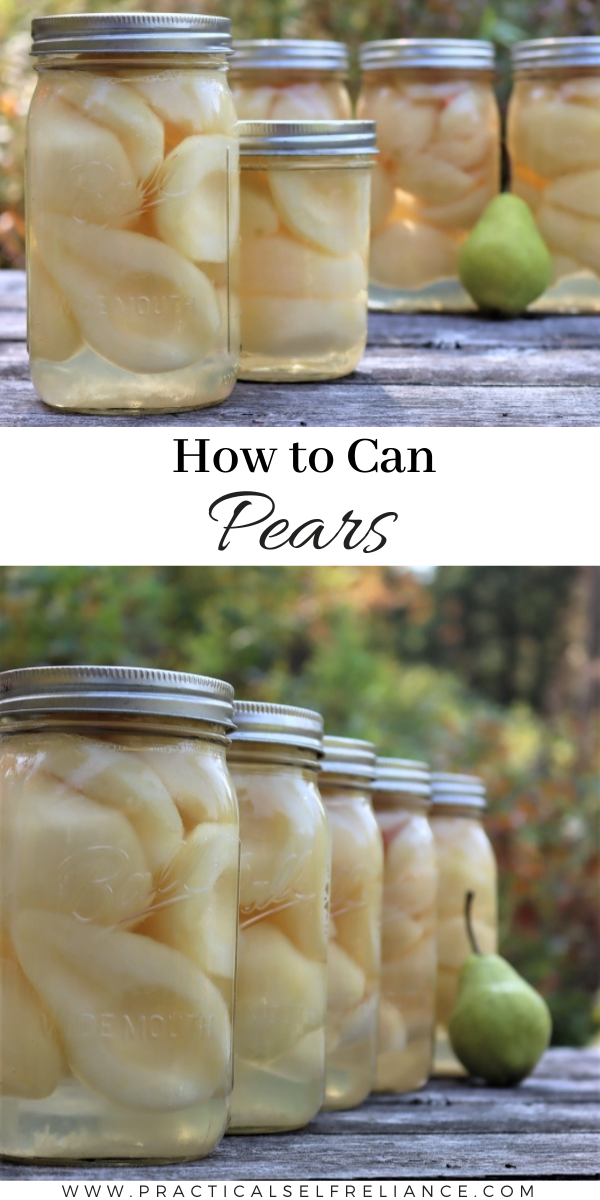 Canning Pears ~ Learn how to can pears at home