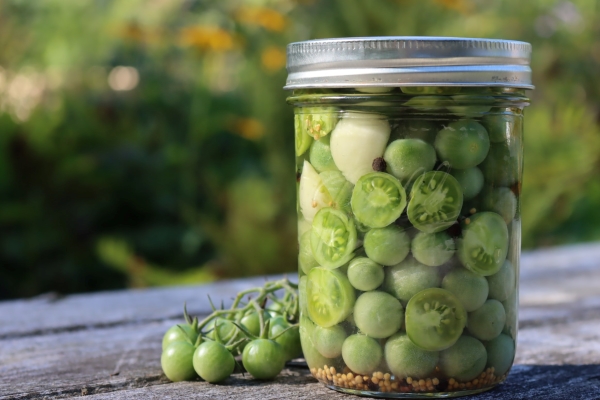 Pickled Green Tomatoes