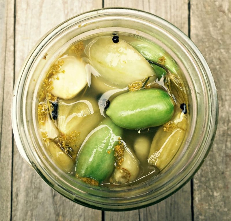Lacto-Fermented Green tomatoes with garlic and dill from Grow, Forage, Cook, Ferment