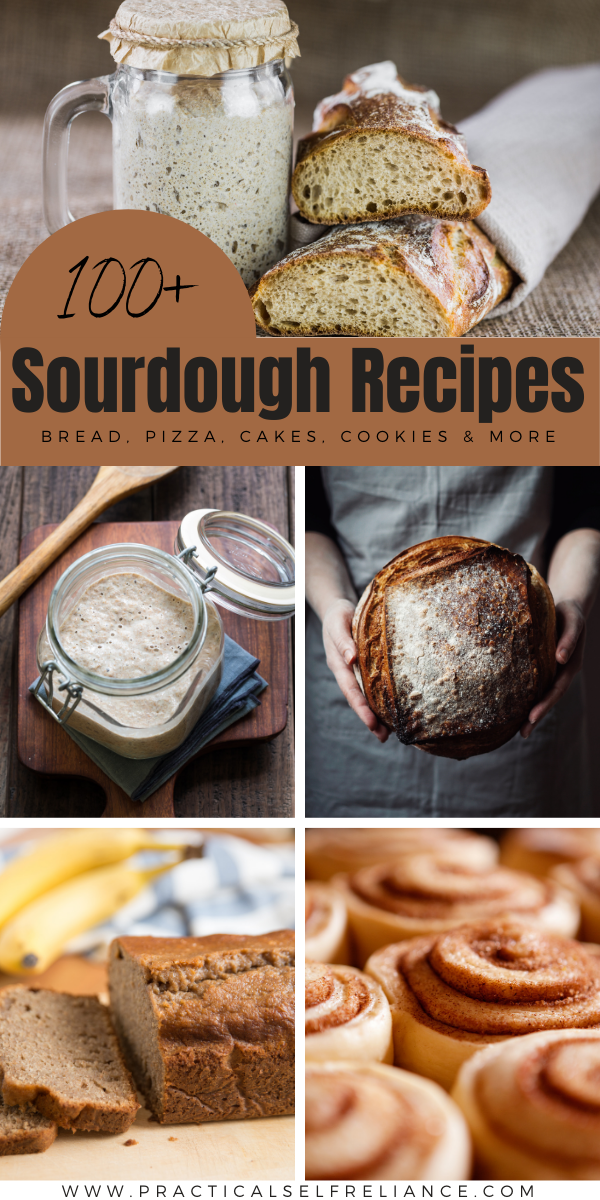 100+ Sourdough Recipes ~ Make sourdough bread, cookies, cakes, scones, rolls and more!