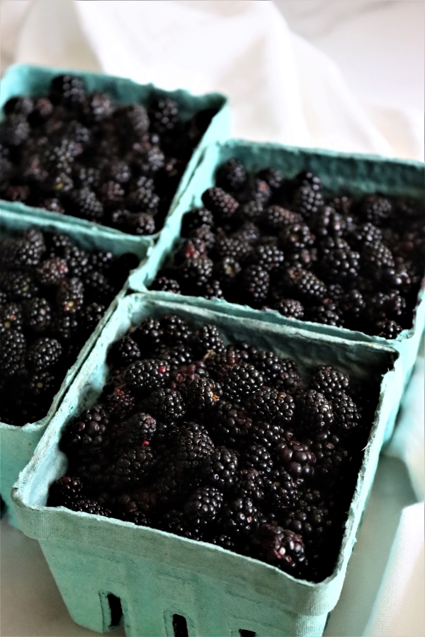 Picking blackberries for jelly