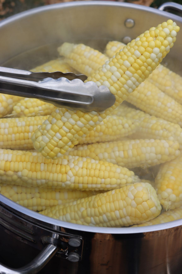 Blanching Corn for Canning