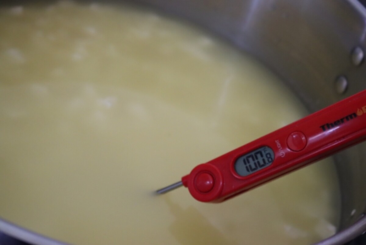 Cheddar curds in whey after a long, slow heating to 100 degrees