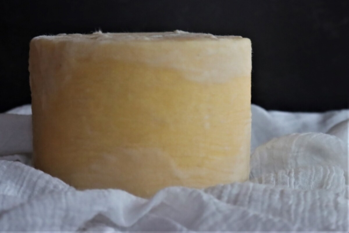 Clothbound Cheddar