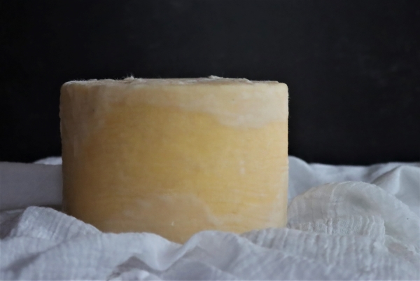 Homemade Cheddar Cheese