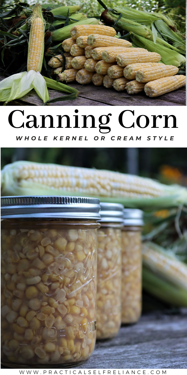 Canning Corn ~ Learn how to can corn with a pressure canner as either whole kernel or cream style corn