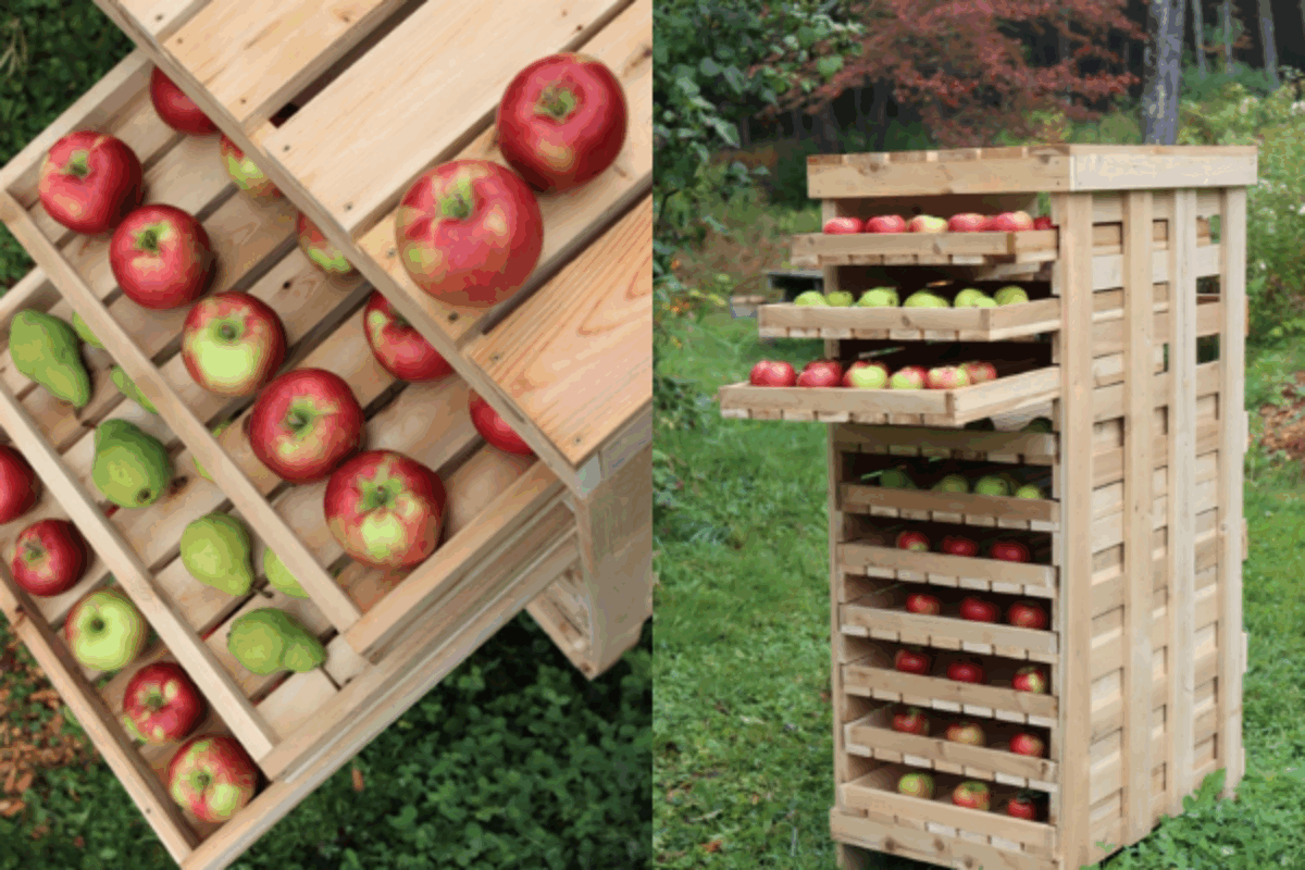 DIY Apple Rack