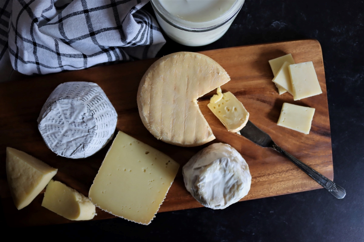 50+ Cheesemaking Recipes (for Beginners and Beyond)