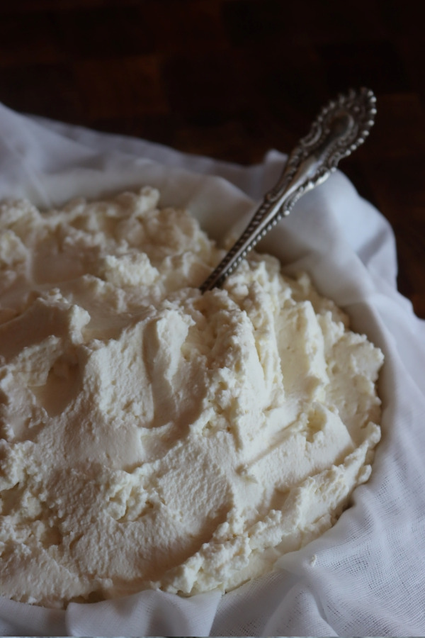 Homemade Ricotta Cheese