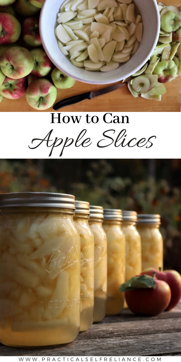 How to Can Apples ~ Canning apple slices is a simple way to preserve apples for year round use. They're perfect for pies, or eaten straight from the jar!