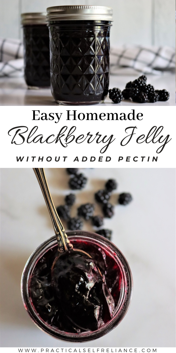 How to Make Blackberry Jelly ~ Blackberry jelly is easy to make at home with just two ingredients, no added pectin required.