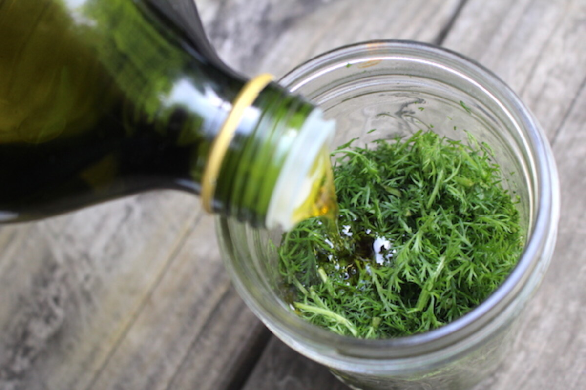 Making Yarrow Infused Oil