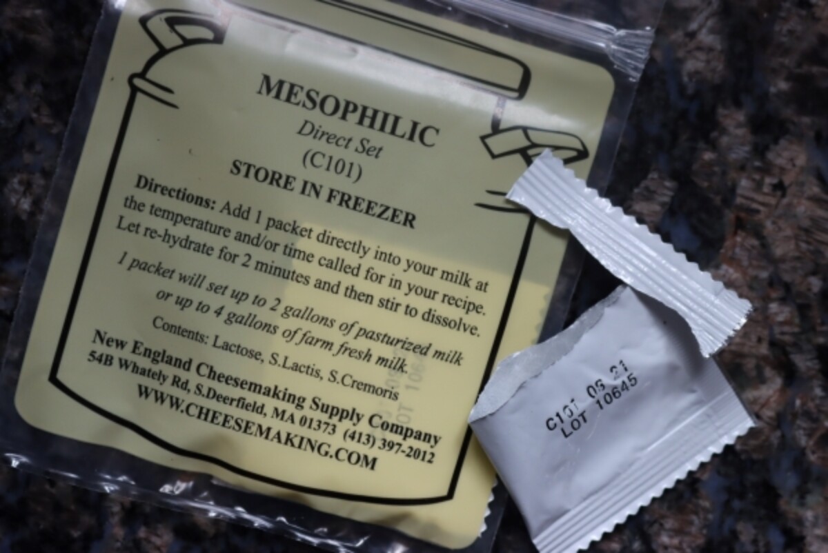 Mesophilic Starter for Cheddar