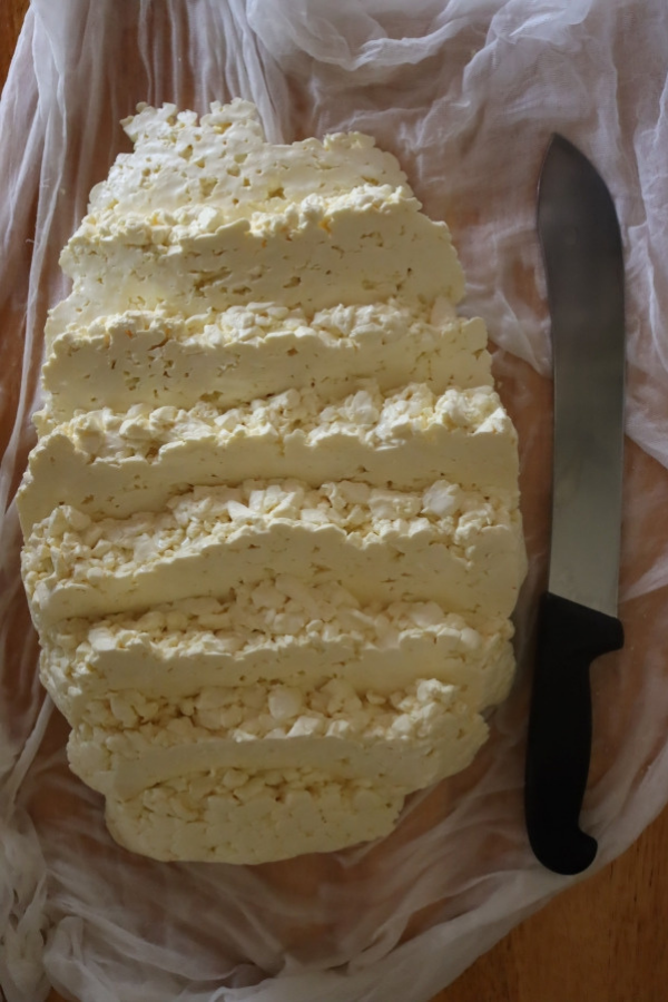 Cheddar curd mass after slicing but before the cheddaring process