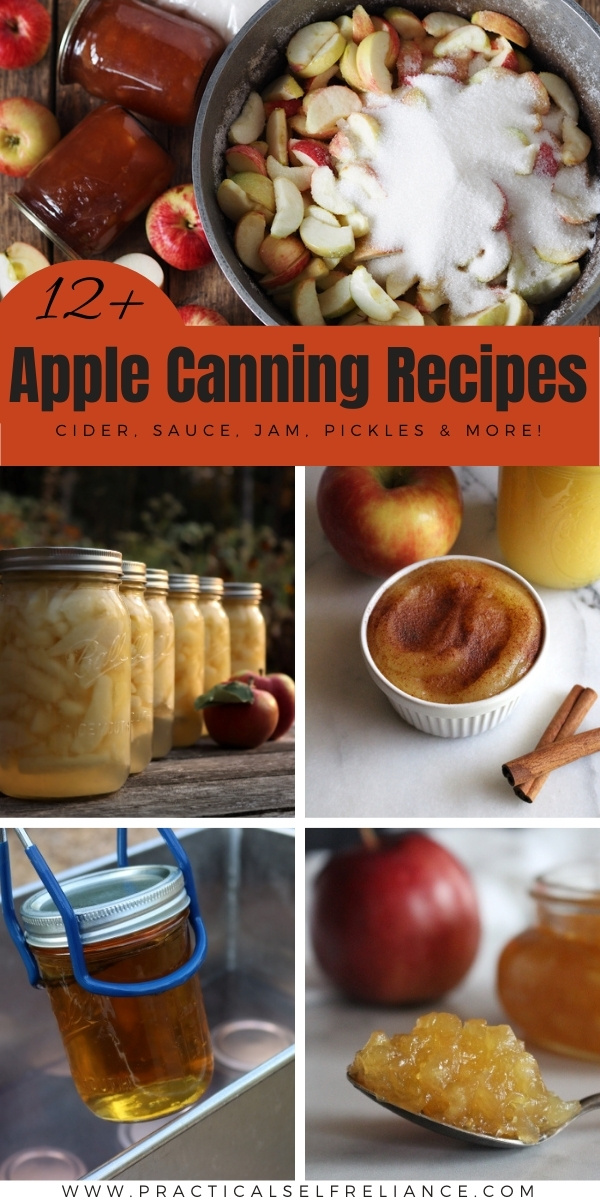 12+ Apple Canning Recipes ~ Learn new ways to preserve apples with this list of tasty apple canning recipes. Everything from slices to sauce, pickles and pie filling.