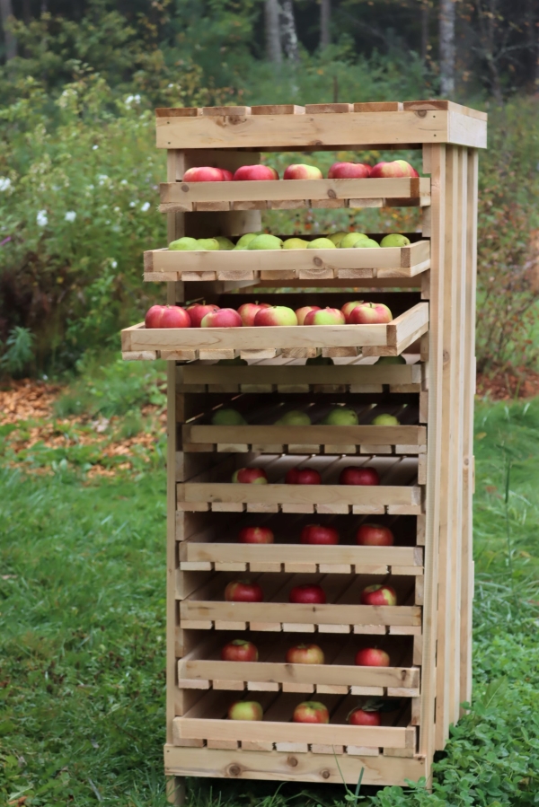 Homemade apple storage rack