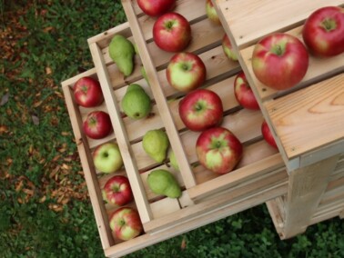 Top of a homemade apple storage rack