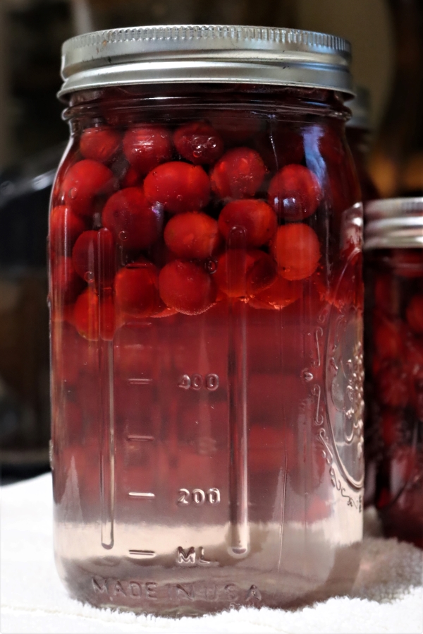 Canning Cranberry Juice
