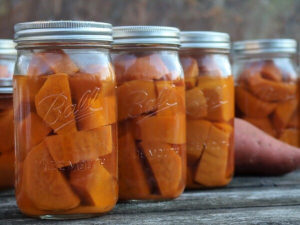 Canning Sweet Potatoes
