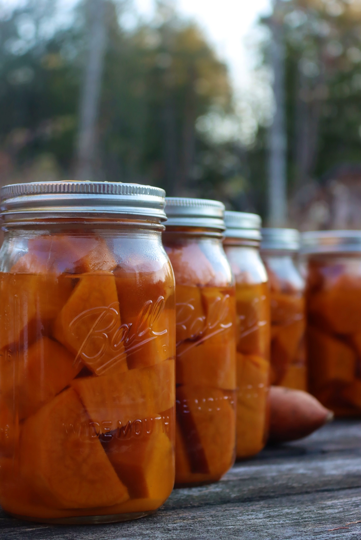 Sweet potatoes canned in a pressure canner