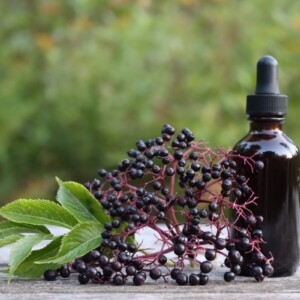 Homemade Elderberry Tincture