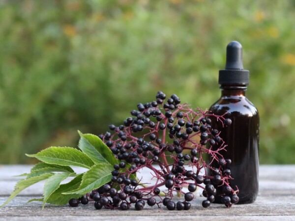 Homemade Elderberry Tincture