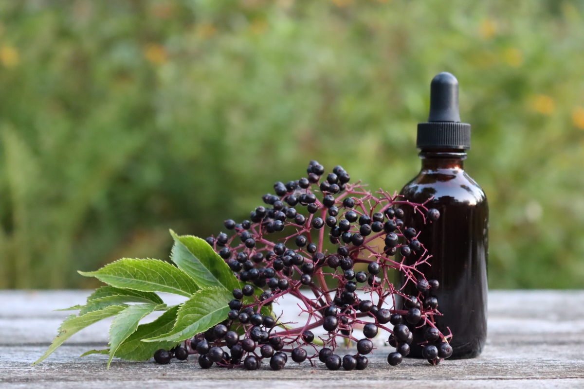 Homemade Elderberry Tincture