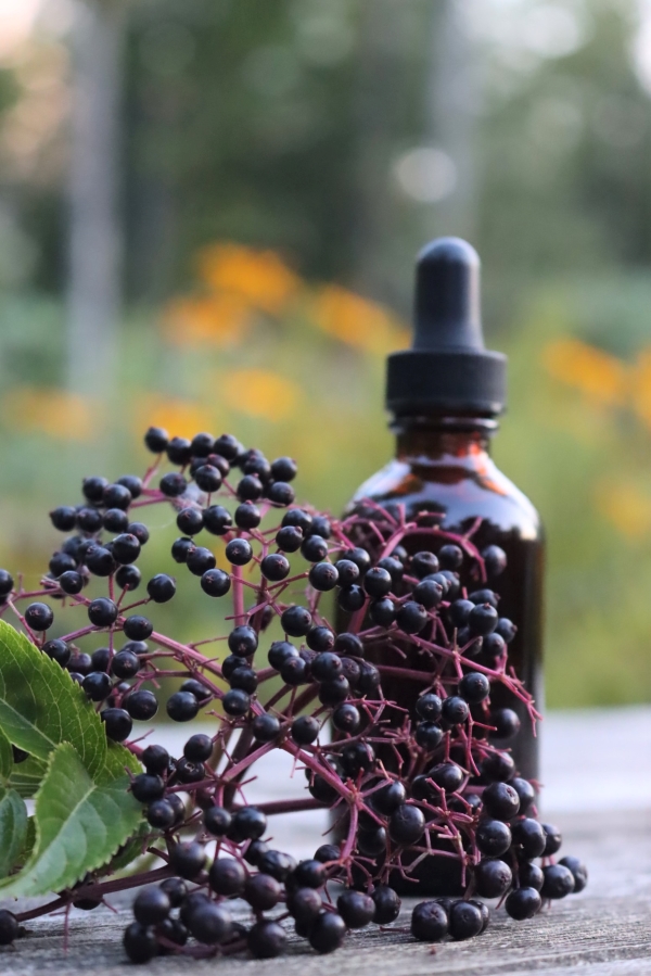 Elderberry Tincture
