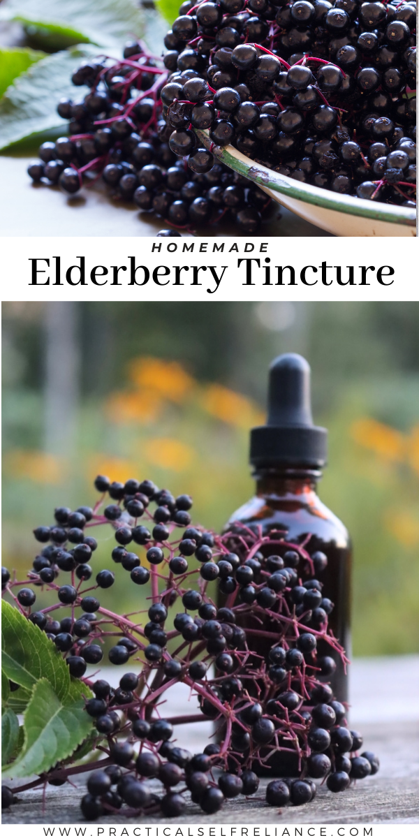 Homemade Elderberry Tincture
