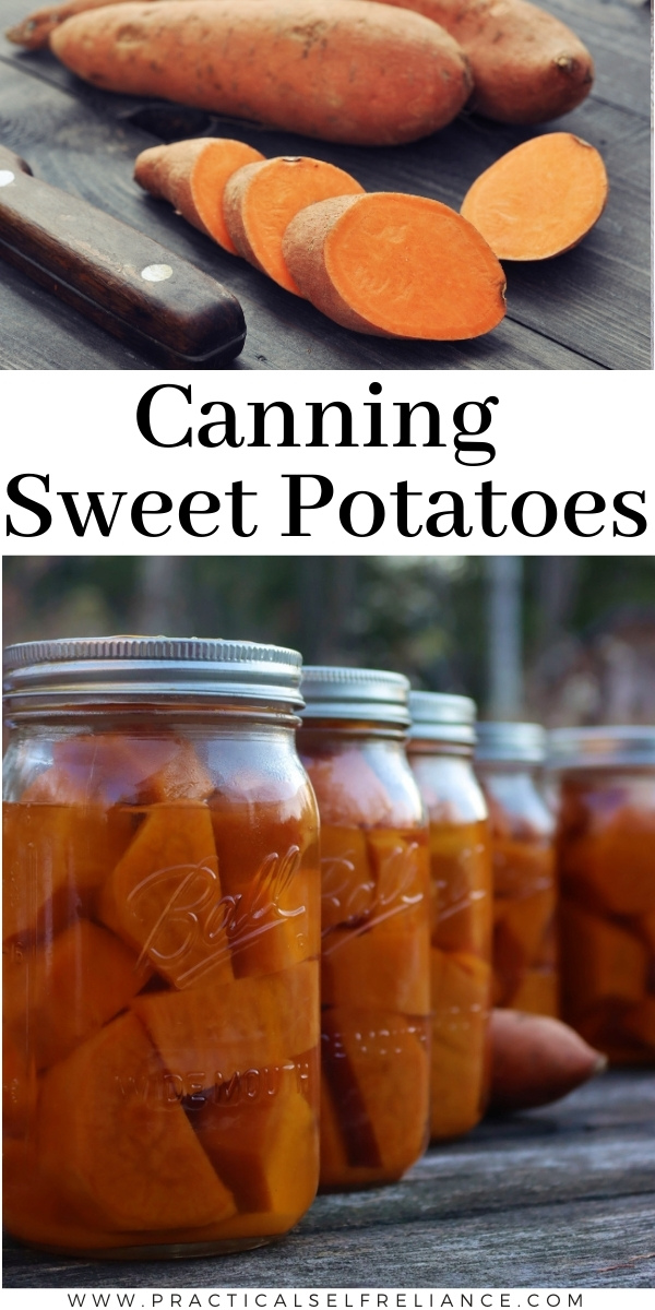 Canning Sweet Potatoes ~ Learn how to can sweet potatoes at home using a pressure canner
