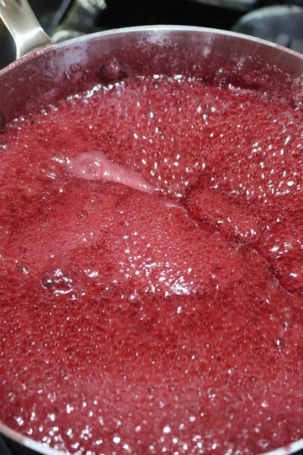 Making Pomegranate Jelly