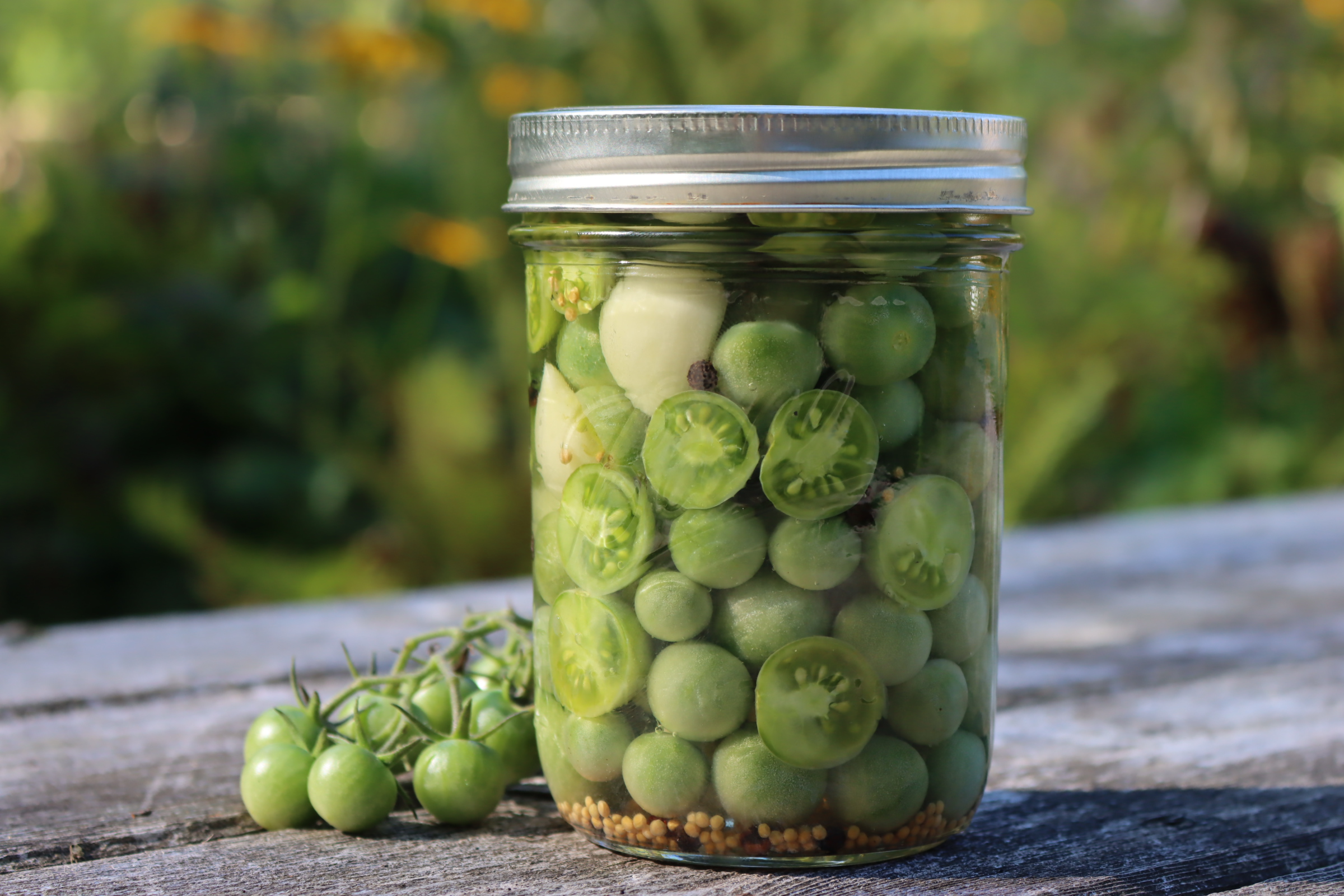 Pickled Green Tomatoes