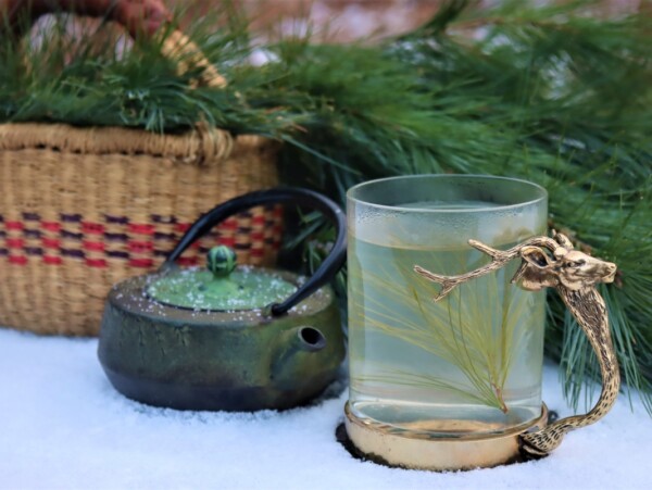 Pine Needle Tea