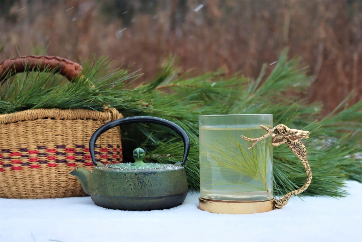 Pine needle tea winter