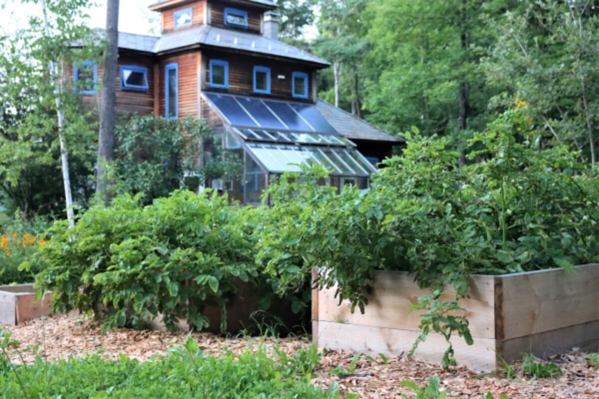 Growing Potatoes in Rasied Beds