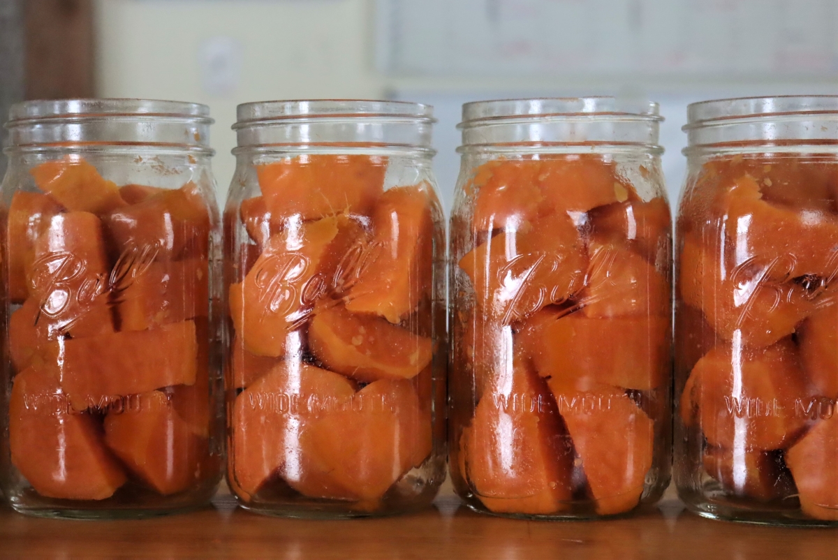 Sweet Potatoes Packed for Canning