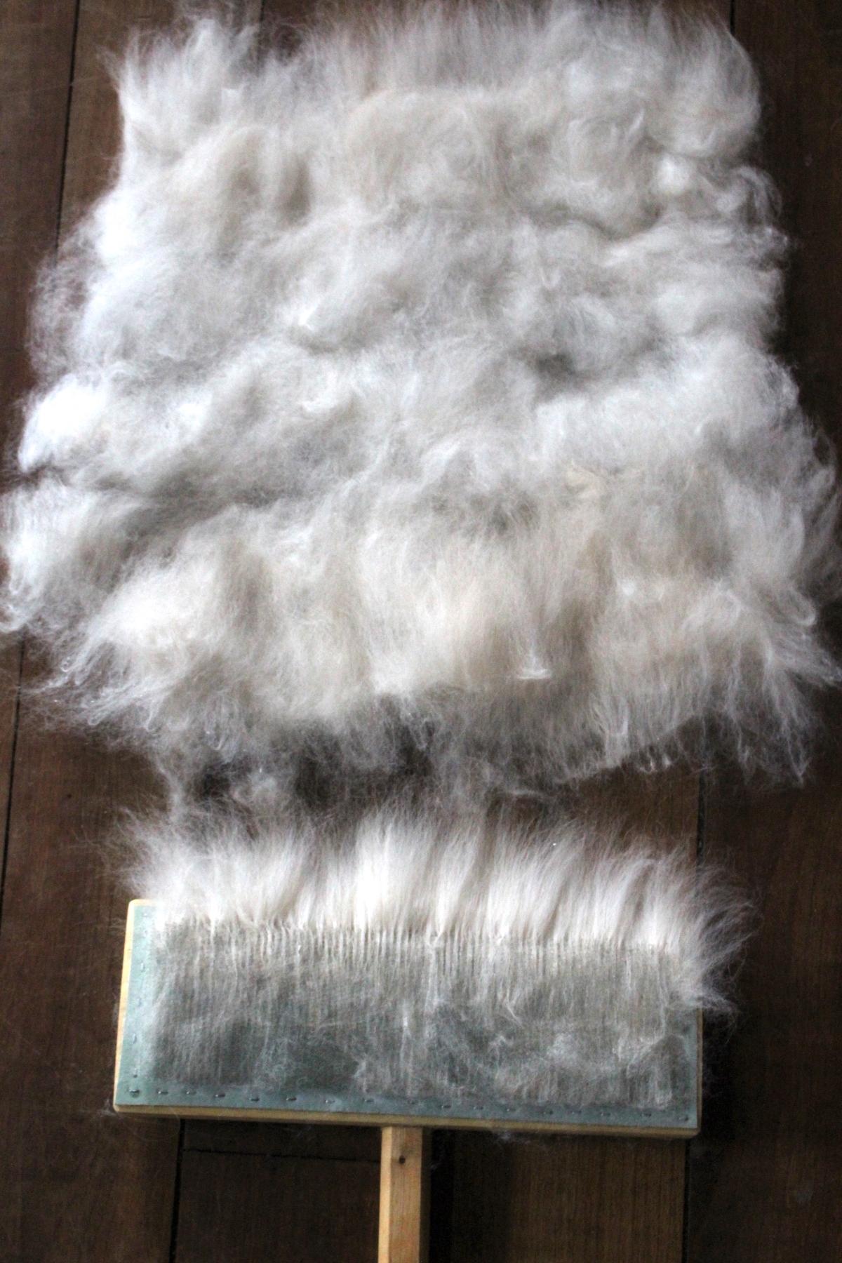 carding angora