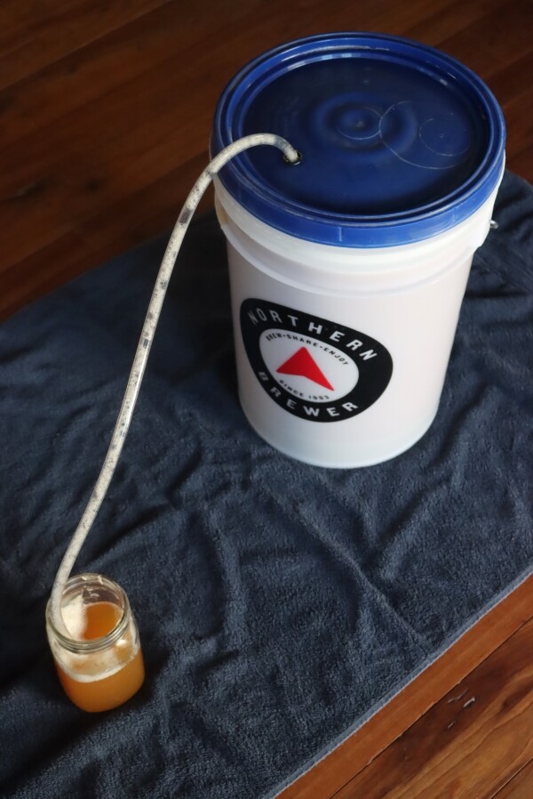 A homebrew beer with a blow off tube during primary fermentation.