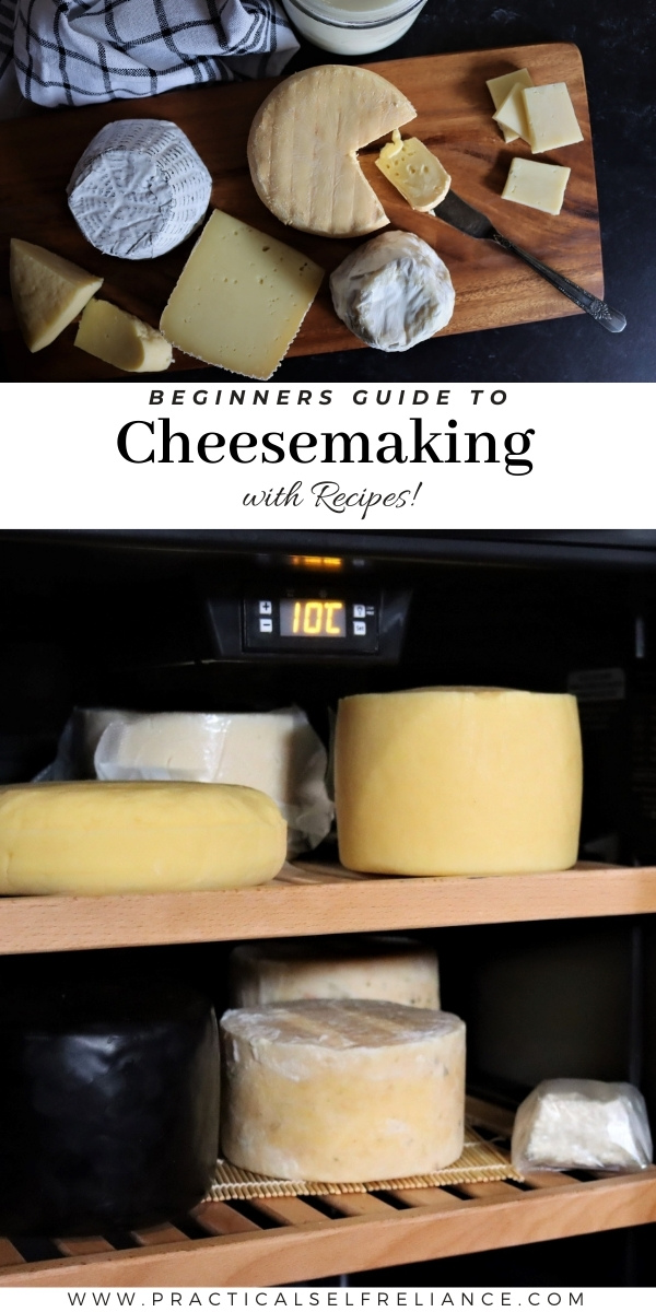 Beginners Guide To Cheesemaking (with Recipes!) — Practical Self Reliance