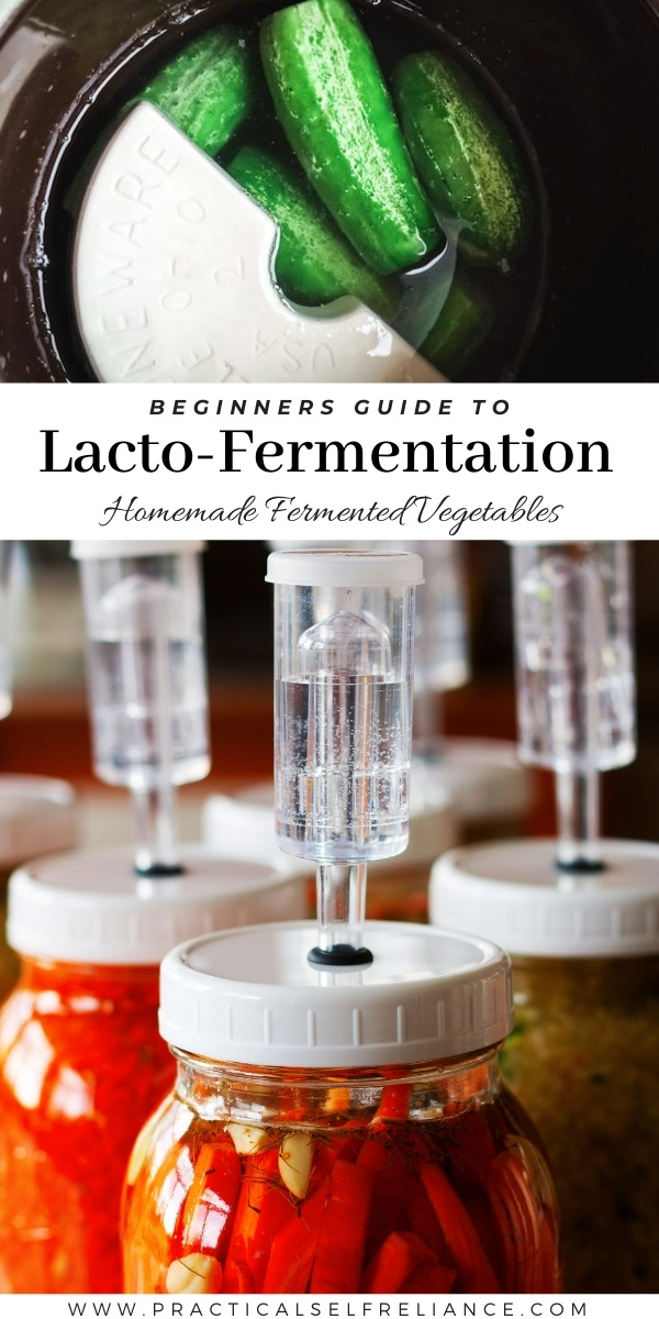 Beginners Guide to Lacto-Fermentation