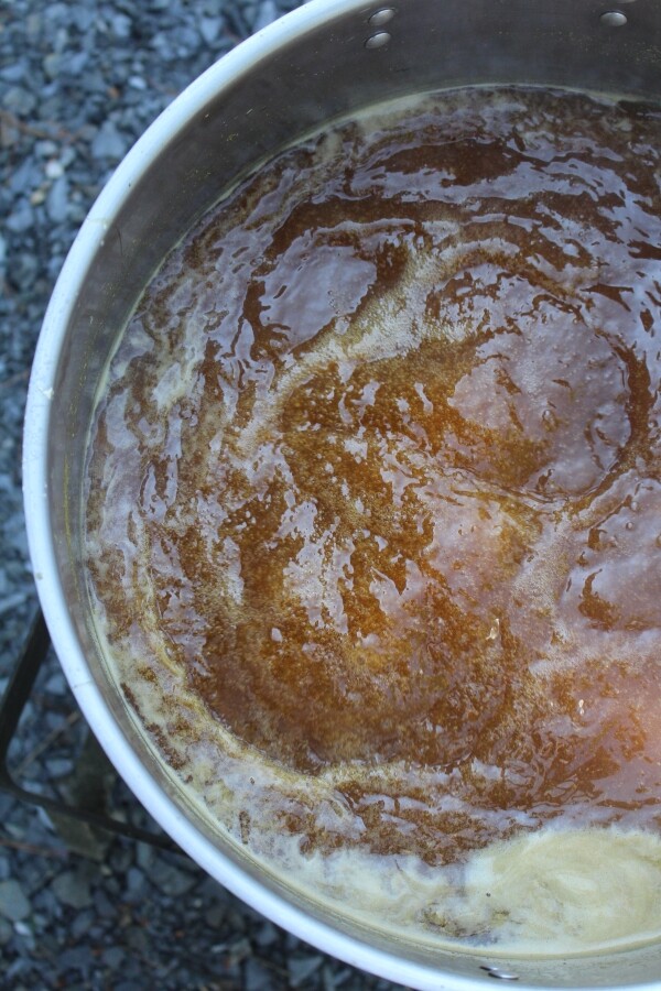 Boiling Wort for making beer