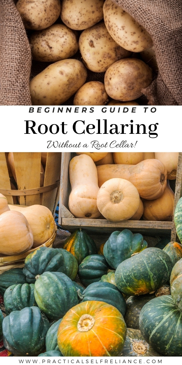 Beginners Guide to Root Cellaring