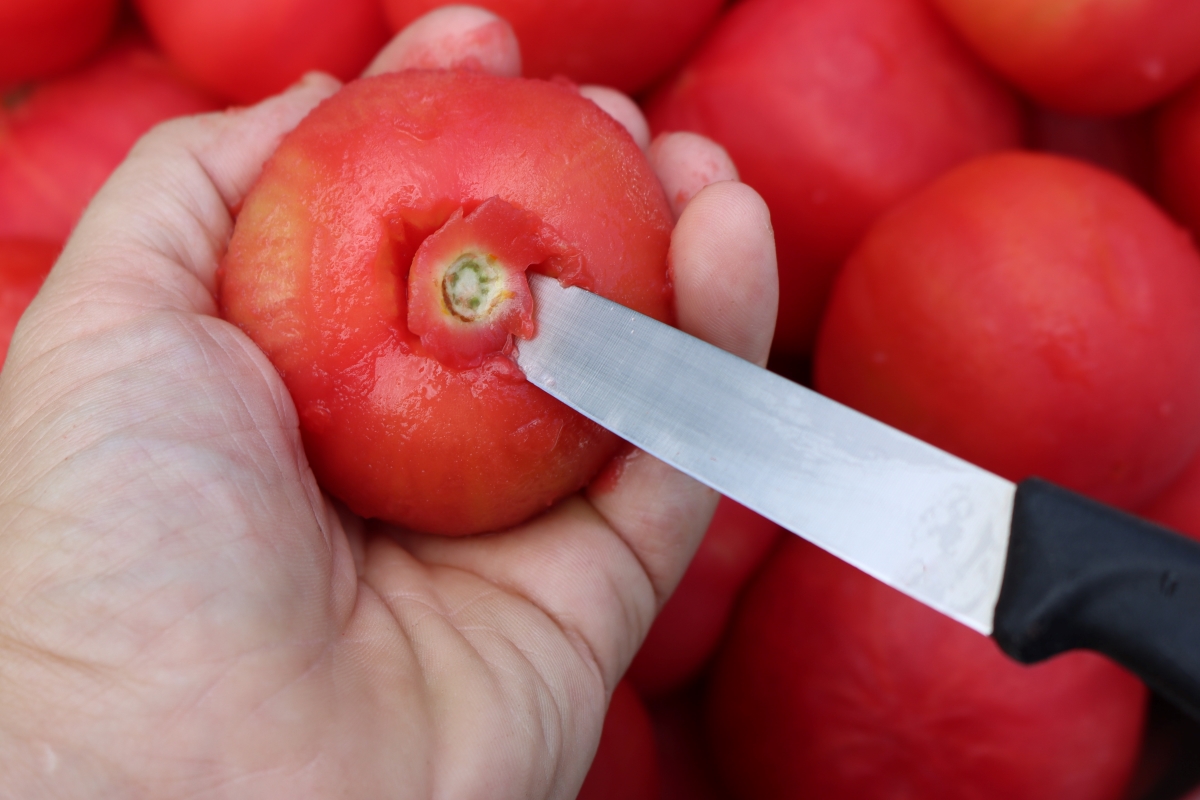 Coring Tomatoes for Canning