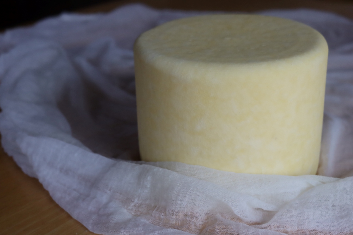 Fresh Parmesan Before Aging